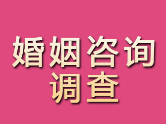 乃东婚姻咨询调查