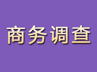 乃东商务调查